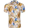 Дешевые цена летом гавайские пляж стиль 3d графический ладонь кокосовые дерево цветочные мужчины печатающие повседневные рубашки алохи праздник пляж верхние рубашки 5 шт. / Лот
