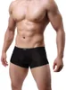 Boxer court doux pour hommes, sous-vêtements, soins du Scrotum, fonction Capsule, santé des jeunes, séoul, séparation convexe