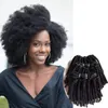 Donna nera Bellezza della moda non trasformata Fabbrica di capelli vergini brasiliani ricci afro crespi Intero 50gpc 6pc 300glot Per l'intero 5374921