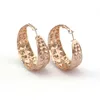 Wholesale-hoop earrings for women western hot sale simple Nightclub huggie earring Exaggerated fashion jewelry 2 colors golden rose gold