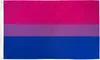 الكبرياء ثنائي الجنس العلم 3x5 قدم برايد مثلي الجنس لافتة 90x150cm مخيط مزدوج البوليستر الأزرق الوردي مع نحاس نحاسي 2442