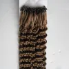 Afro Kinky Curly Micro Loop Hair Extensions 100g Malezyjski Dziewica 1 g / s Kinky Curly Micro Loop Ring Włosy Przedłużanie Blondynki Remy Włosy