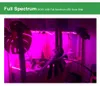 LED växer lätt vattentät full spektrum USB-remsa 0,5m 1m 2m 2835 Chip LED Phyto lampa för växter blommor växthus hydroponic