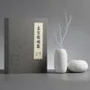 Hwato p24 vakum çukurluk masaj terapisi set gadgets vantuz kupası akupunktur kutuları