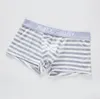 Mens listrado Boxers Simples Color Stripes Underwear respirável Mid cintura Cotton Cueca Asiático Tamanho M-2XL frete grátis