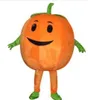 2019 factory hot sale Cute Pumpkin Adult Size Mascot Costume Fancy Birthday Party Dress Halloween Carnivals Costumes