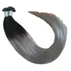 14'' 16" 18" 20" 22" 24" Malaysian Remy Nail U tip Human Hair Extensions 1g/strand 200s lot Ombre Color 1BTGRAY