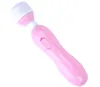 Produits de sexe pour adultes, vente en gros, Mini vibrateur, tige AV, bâton de massage électrique, masturbateur féminin