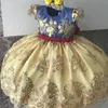 Vestido elegante para niñas, vestidos de fiesta de princesa de Año Nuevo, Vestido de boda, ropa para niños, Vestido de fiesta de cumpleaños, Vestido Wear4063724