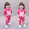 Herbst Baby Kleidung Kinder Jungen Mädchen sport Kaninchen Hoodies Hosen 2 Teile/sätze Kleinkind Aktive Kleidung Infant Kinder Trainingsanzug