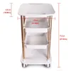 Ny Trolly Iron Frame Monterad Holder Roller Cart för Cavitation Lipo Laer Slimming Salon Spa Beauty Machine3366323