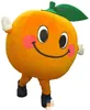 Costume de mascotte orange personnalisé livraison gratuite