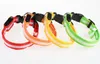 8 couleurs 4 tailles nuit sécurité lumière LED clignotant lueur Nylon collier de chien de compagnie petit chien moyen laisse pour animaux de compagnie collier de chien clignotant sécurité Col9570532