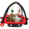 Czerwony Beetle Fun Bell Cat Namiot Pet Zabawki Hamak Zabawki Kot Miot Home Towar Cat House