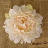 5 Colors 12cm Artificial Flowers Silk Peony Flower Heads Simulation Fake Flower Head Party Wedding Decoration Supplies CCA11487-1 300pcs