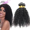 9A Kinky Curly Weave Capelli umani brasiliani Estensioni dei capelli vergini non trattati Tre pacchi 3 Pics / lot Queen Hair Doppia trama da Msjoli