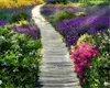 3d Modern Wallpaper Wooden Path with Colorful Flowers Custom Romantic Scenery Atmospheric Interior Decoration Wallpaper