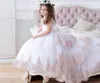 New Flower Girl Vestidos Blush Júnior Meninas Pageant Dress Lace Bebé Bebé Tule Vestido de Noiva Tutu Girls Girls Pageant Vestidos 2022 BC2303