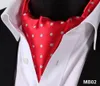 Cravates Polka Dot Check 100% Silk Ascot Cravat, Casual Jacquard Scarves Woven Party Ascot1