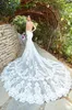 Lace Mermaid Wedding Dresses V Neck Appliques Beads Court Train Illusion Beach Wedding Dress Sexy Backless Plus Size Boho Bridal Gowns