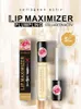 Lip Maximizer Lipgloss Hydraterende Verbetering Glans Tint Verhogen Elasticiteit Repareren Fleuren Lipolie Lipverzorging 6pcs1487724