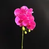 Поддельный Single Стволовые Orchid Simulation Real сенсорный Latex Cymbidium Орхидеи Цветы для свадебных дома Декоративные Искусственные цветы