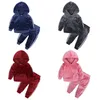 Kids Baby Girl Clothing Set Tracksuit Boys Velvet Tops Sweatshirt Hoodie Tops Pants Warm Cotton 2pcs Outfit Baby Clothes Sets
