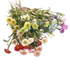 造花偽のシルクデイジーフラワーブーケフロアの造りのパラの装飾的な穂軸ドライ花の装飾のための装飾EEA276