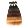 Cheveux vierges indiens Raw Straight Ombre Trois Tons 1B / 4/30 Extensions de Cheveux Humains 1B 4 30 Double Trames