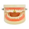 18k gouden enkele tanden grillz braces Punk Hip Hop Crown Cross Gun Dental Mouth Vampire Fang Grills Tooth Cap Cosplay Play Party Rapper Body Sieraden Geschenken Groothandel