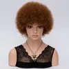 짧은 곱슬 아프리카 가발 여성을위한 어두운 갈색 전체 합성 머리 가발 갈색 붉은 아메리카 아프리카 자연 가발 코스프레