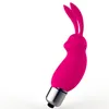 Conejo Huevo Vibrador Mini vibrador de la bala juguetes para la mujer la vagina clítoris anal Estimulador Punto G J1855