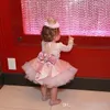 Кекс на день рождения платья для девочек лук узлы кружева с длинными рукавами розовые пухлые цветочные платья платья свадебные платья первые причастия девушки платья