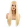 Synthetische pruiken 7 kleuren cosplay pruik lange ombre bruine rechte blondine voor vrouw gluueless hair pruik