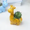 Resin Flower Pot Mini Succulent Planters Pot Modern Animal Flowerpot Garden Cactus Pots Home Decoration Accessories RRA2139