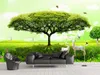 Papier peint vert Forêt Forêt Fonds d'écran Mural 3D Papiers muraux 3D pour la toile de fond de la télévision