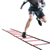 Whole-Fast Delivery 5M 10Rung Nylon Straps Training Stairs Agility Ladders Soccer Football Tab Speed Ladder Sports Fitness Equ212m