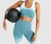 Women's Yoga Set Sports Bra and Gym Clothing Workout Sports Suit Energy Fitness Sportswear Active Wear