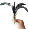 Prawdziwy dotknięcie rośliny Orchid Liść 10PC