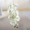 Artificial Silk White Orchid Flowers Högkvalitativ fjäril Moth Fake Flower for Wedding Party Home Festival Decoration278N2306425