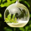 8st Ball Clear Hanging Glass Globe Shape Vase Flower Plants Terrarium Vase Container Micro Landscape Modern Fashion7852245