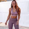 ABD Stok Sorunsuz Gym Seti Naylon Kadın Spor 2 Adet Egzersiz Tozluklar yastıklı Spor Bras Kadın Spor Giyim Yoga Setleri Spor Takımları