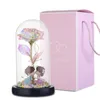 Creative Flower Beauty and the Red Rose Beast in a Glass Dome on a Wooden Base for Valentine's Gifts