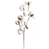 wedding decoration table centerpieces flower Naturally Dried Cotton Stems Farmhouse Artificial Flower Filler Floral Decor #XTN