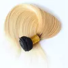 Bundle dei capelli umani 1pc Ombre Humbre Hair Hair Virgin Peruvian Extensions 100g 8 "- 32" Doppia trama, nessun spargimento, groviglio gratuito
