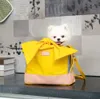Bag de transportadora de viagem para cães de gato pequeno fofo para gatos de gato ao ar livre portátil Yorkie Chihuahua Caixa de transporte de cã