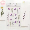 MM. 12 Designs Naturel Daisy Trèfle Clover Mots japonais Stickers TRANSPARENT PET DE PET DE PET DE FEUILLES Feuilles PLANTES Deco Stickers Sweet07