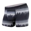 Random styles Men's Trunk/boxer Underwear with Support Pouch and Seamless Pucker Panel, Soft Modal Fabric