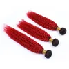 # 1B / Rouge Ombre Crépus Bouclés Brésiliens Cheveux Humains Weave Bundles 3Pcs 300g Rouge Ombre Crépus Bouclés Extensions de Cheveux Humains Double Trame 10-30"