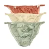 Natural Silk Women's String Bikinis Panties W Cotton Crotch Economic Pack of 6 US S M L XL XXL299I